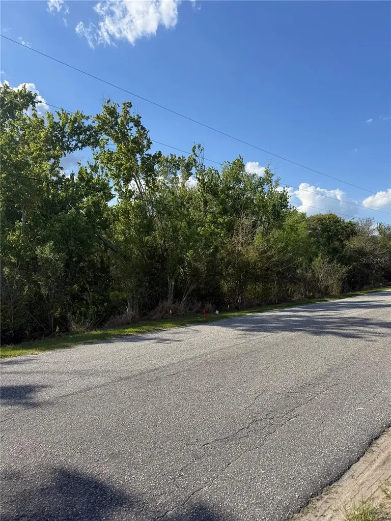 Gadson Street Groveland FL 34736