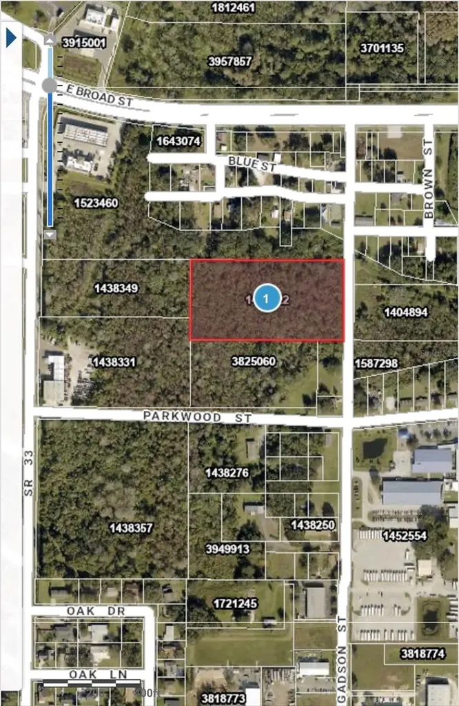 Gadson Street Groveland FL 34736