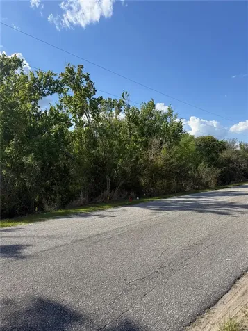 Gadson Street Groveland FL 34736