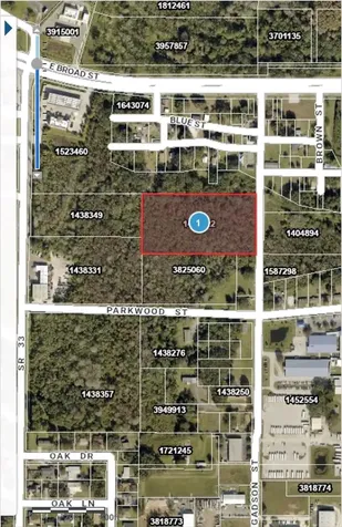Gadson Street Groveland FL 34736
