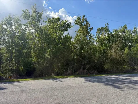 Gadson Street Groveland FL 34736