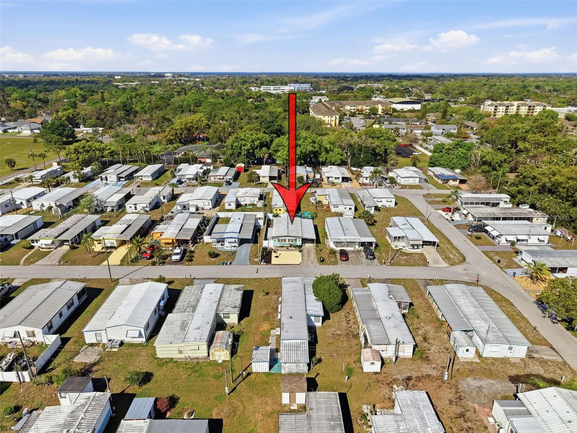 6631 Silverbell Drive New Port Richey FL 34653
