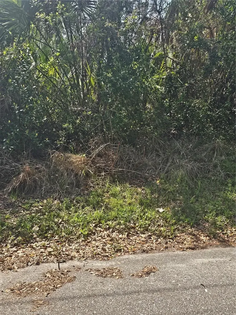 Tbd Unassigned Lake City FL 32024