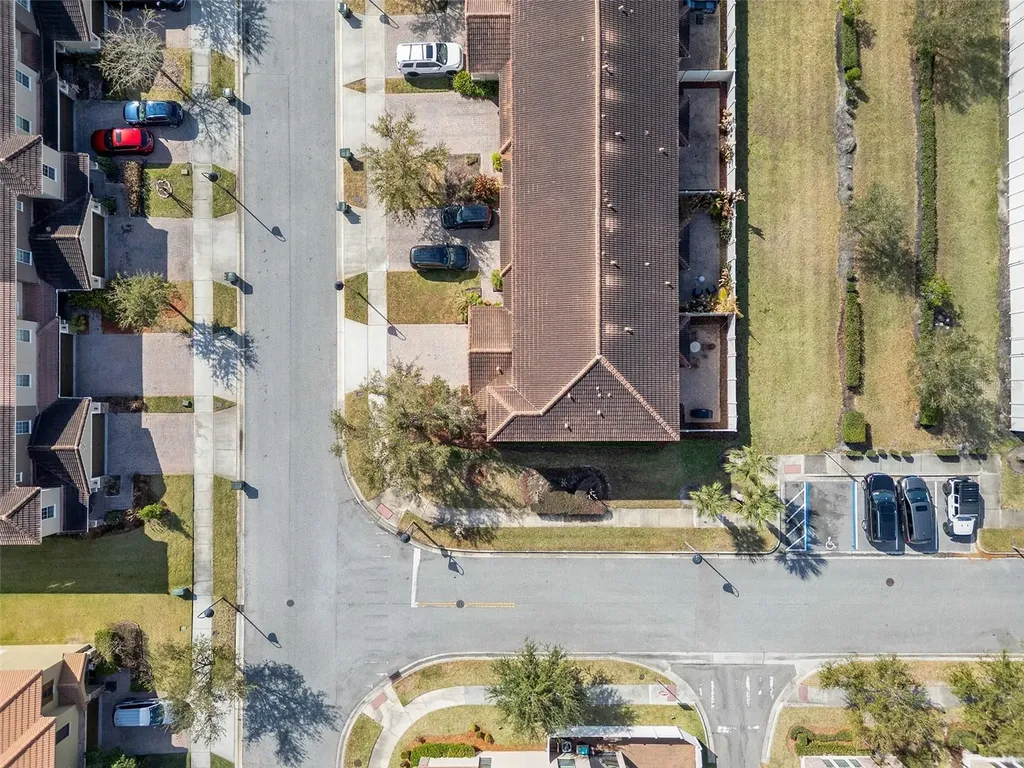2081 Leather Fern Drive Ocoee FL 34761