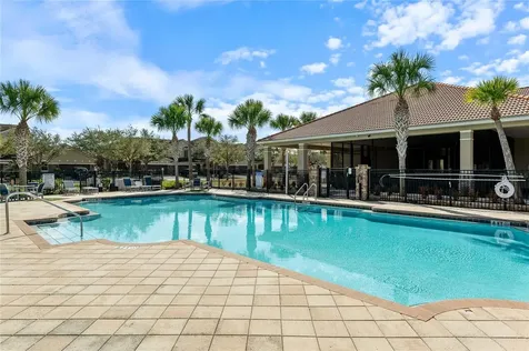 2081 Leather Fern Drive Ocoee FL 34761