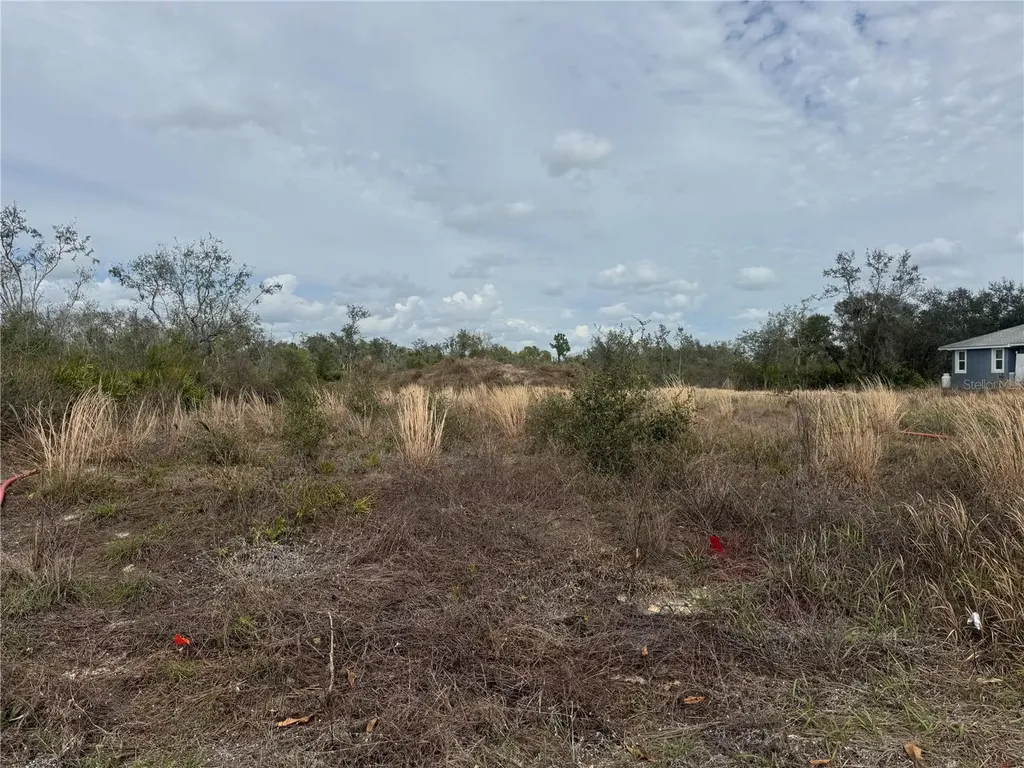 8500 SW Aviary Road Arcadia FL 34269