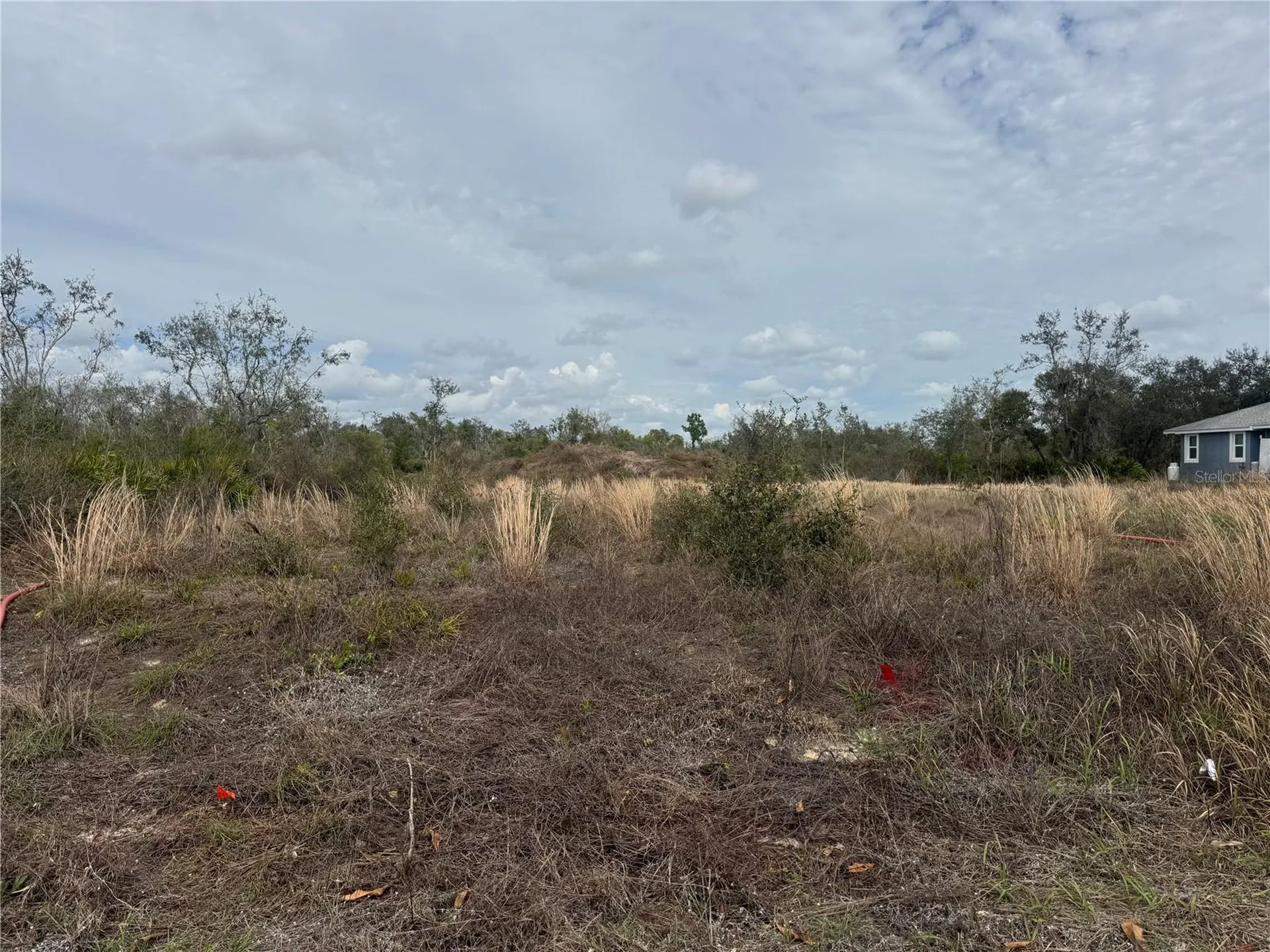 8500 SW Aviary Road Arcadia FL 34269