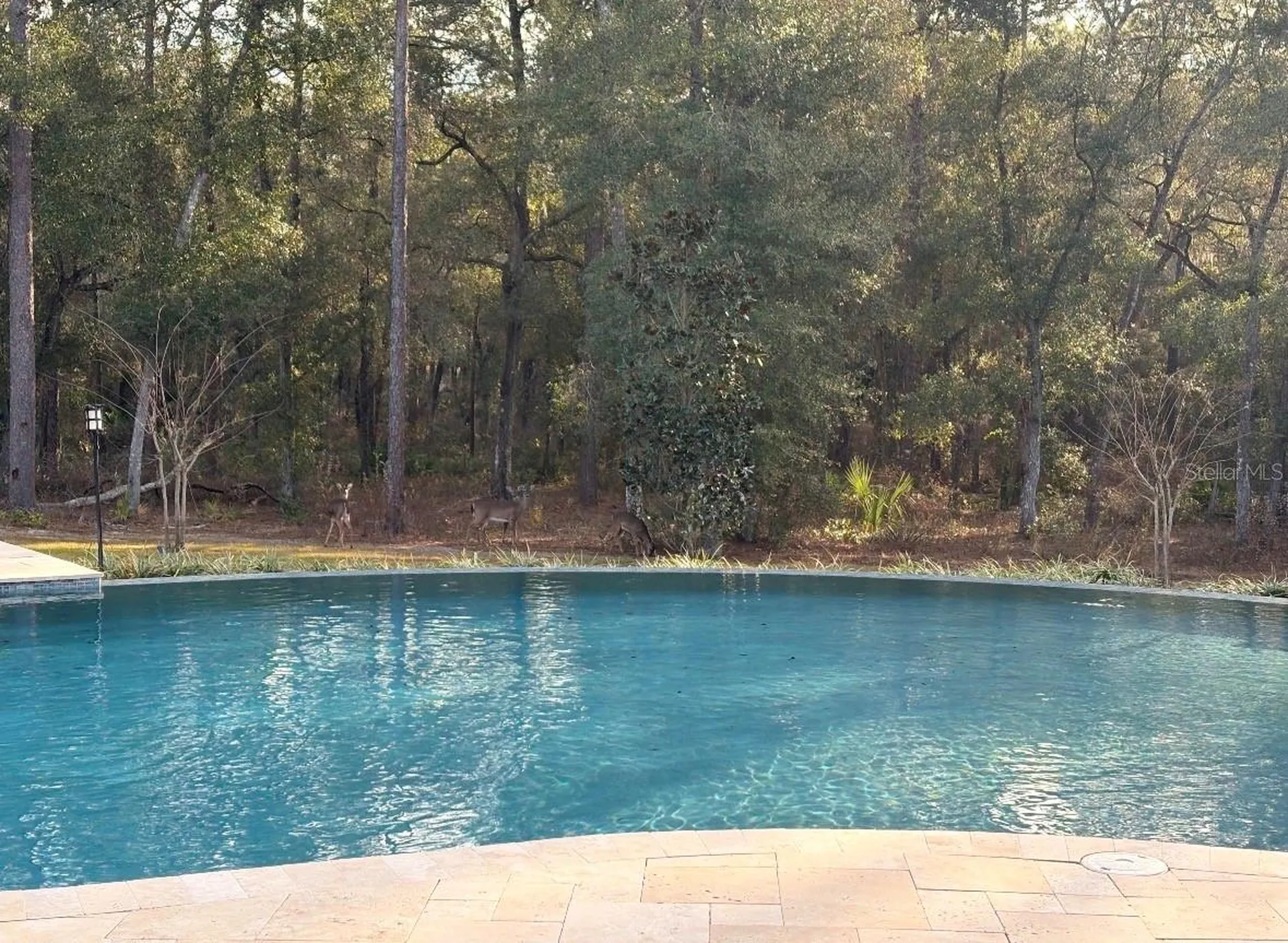 1985 Fatio Road Deland FL 32720