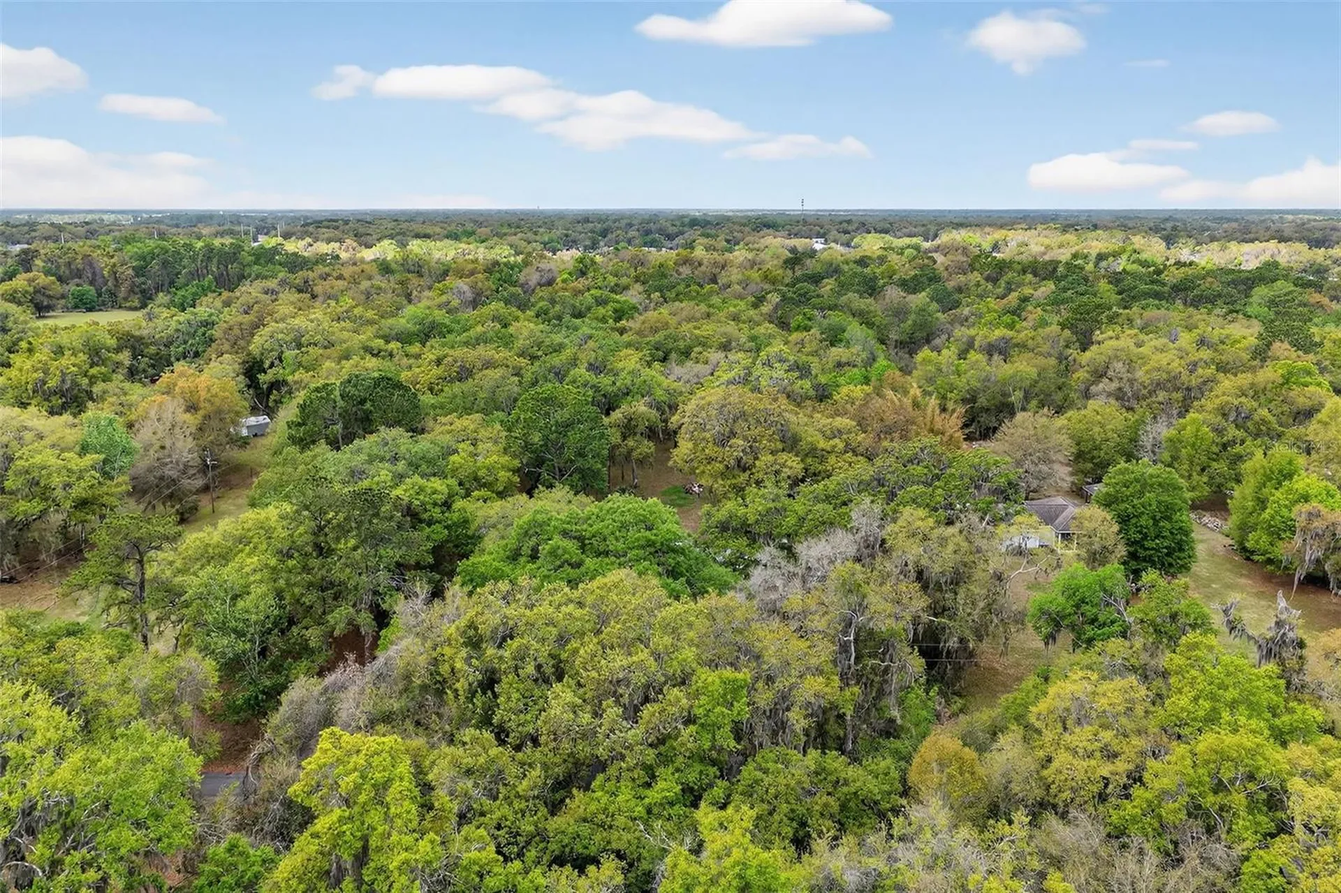 3336 County Road 510a Wildwood FL 34785