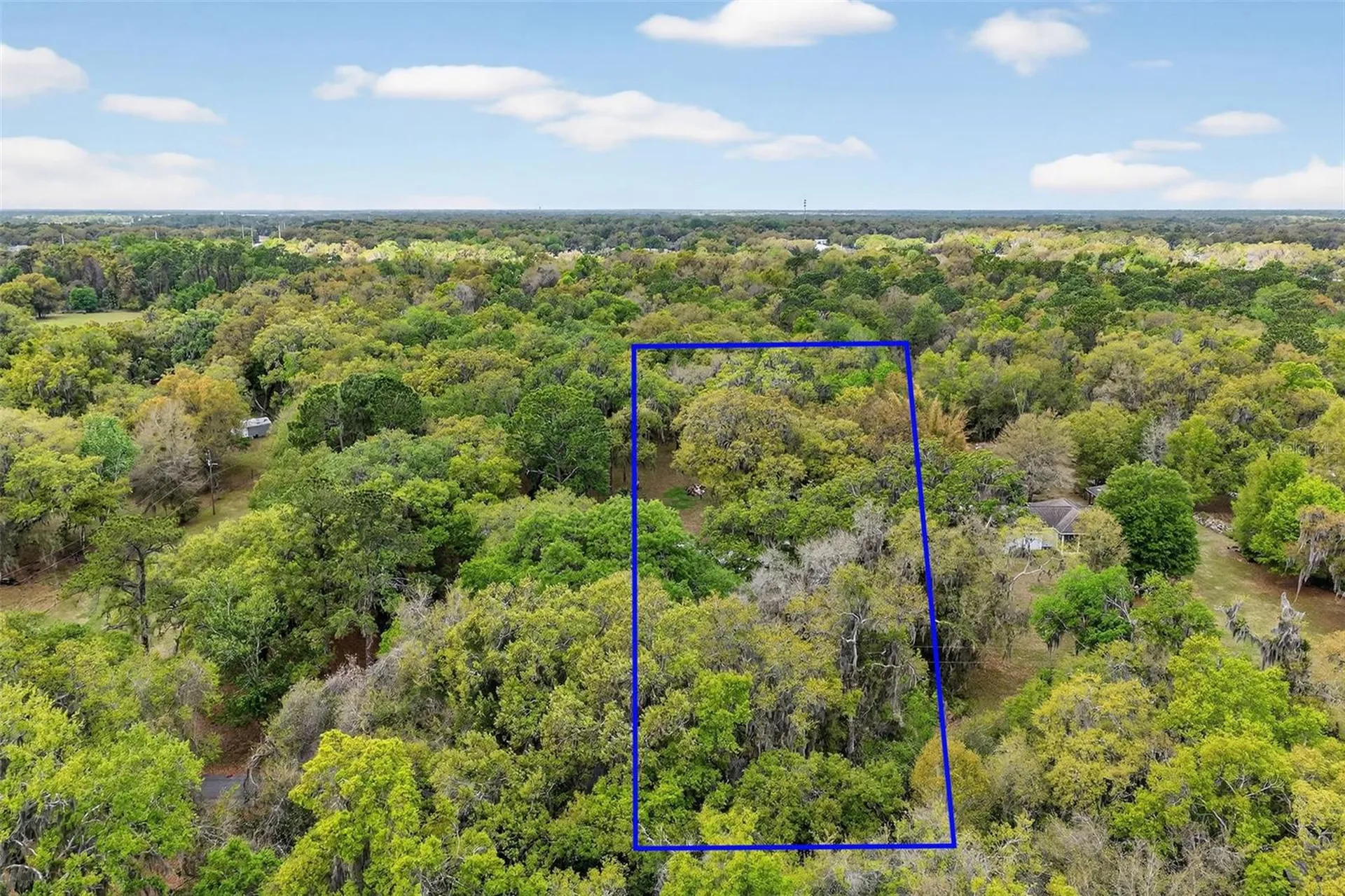 3336 County Road 510a Wildwood FL 34785