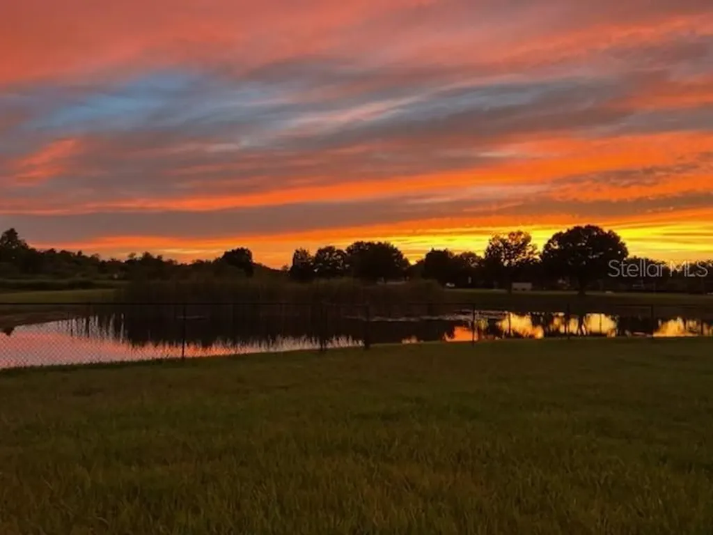 9515 Simeon Drive Land O Lakes FL 34638