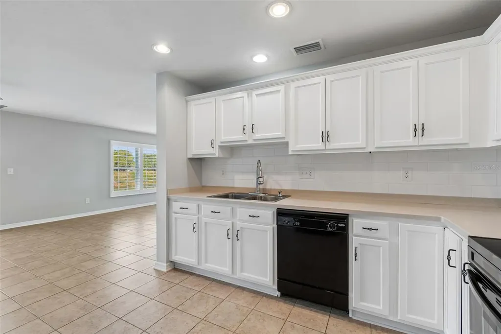 9515 Simeon Drive Land O Lakes FL 34638