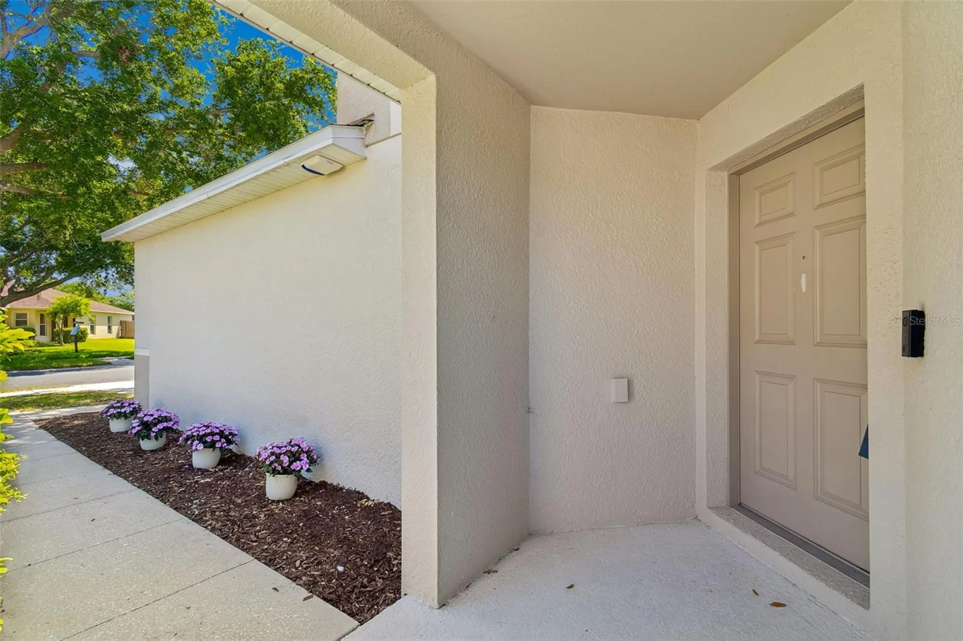 9515 Simeon Drive Land O Lakes FL 34638