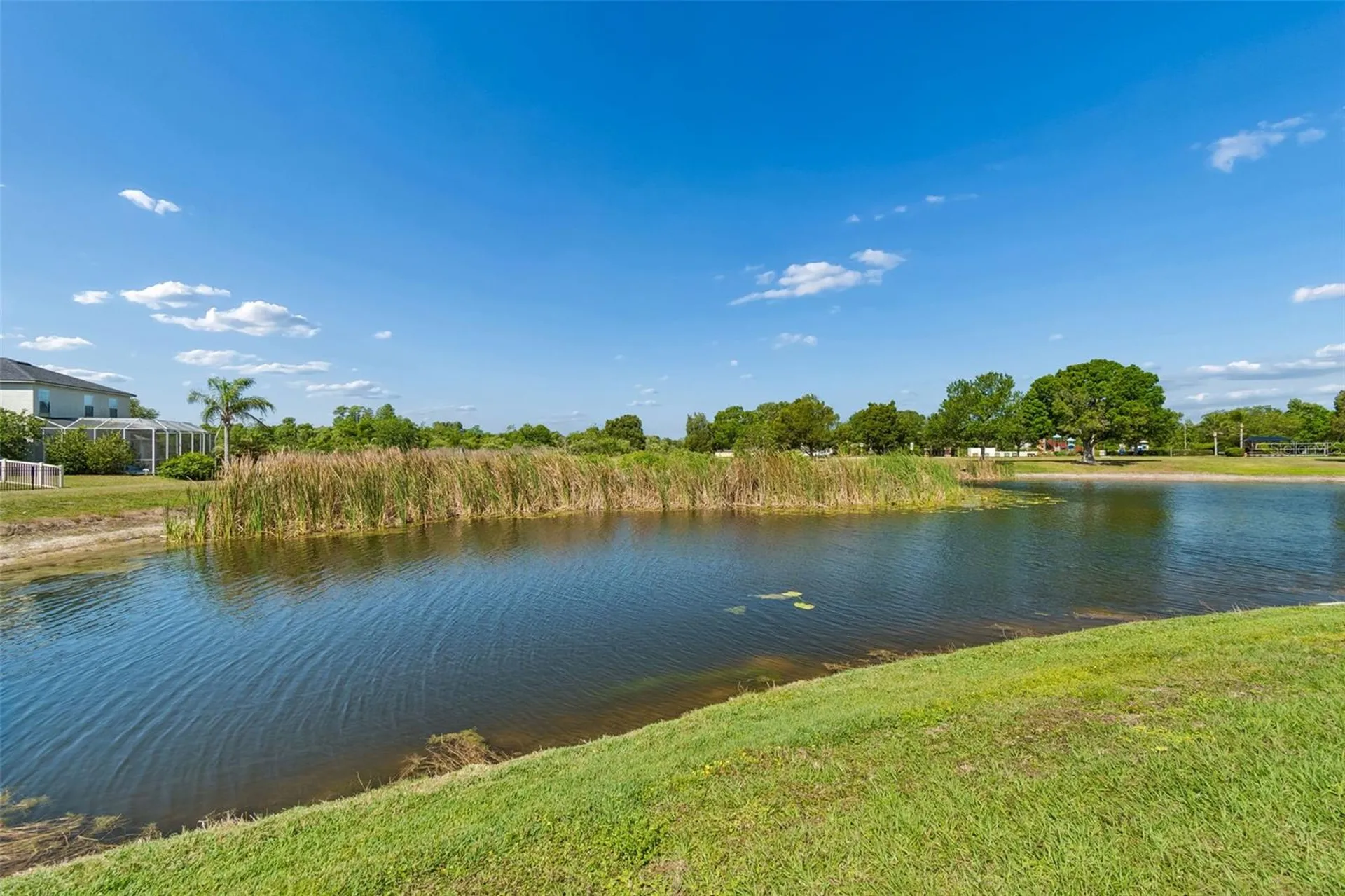 9515 Simeon Drive Land O Lakes FL 34638