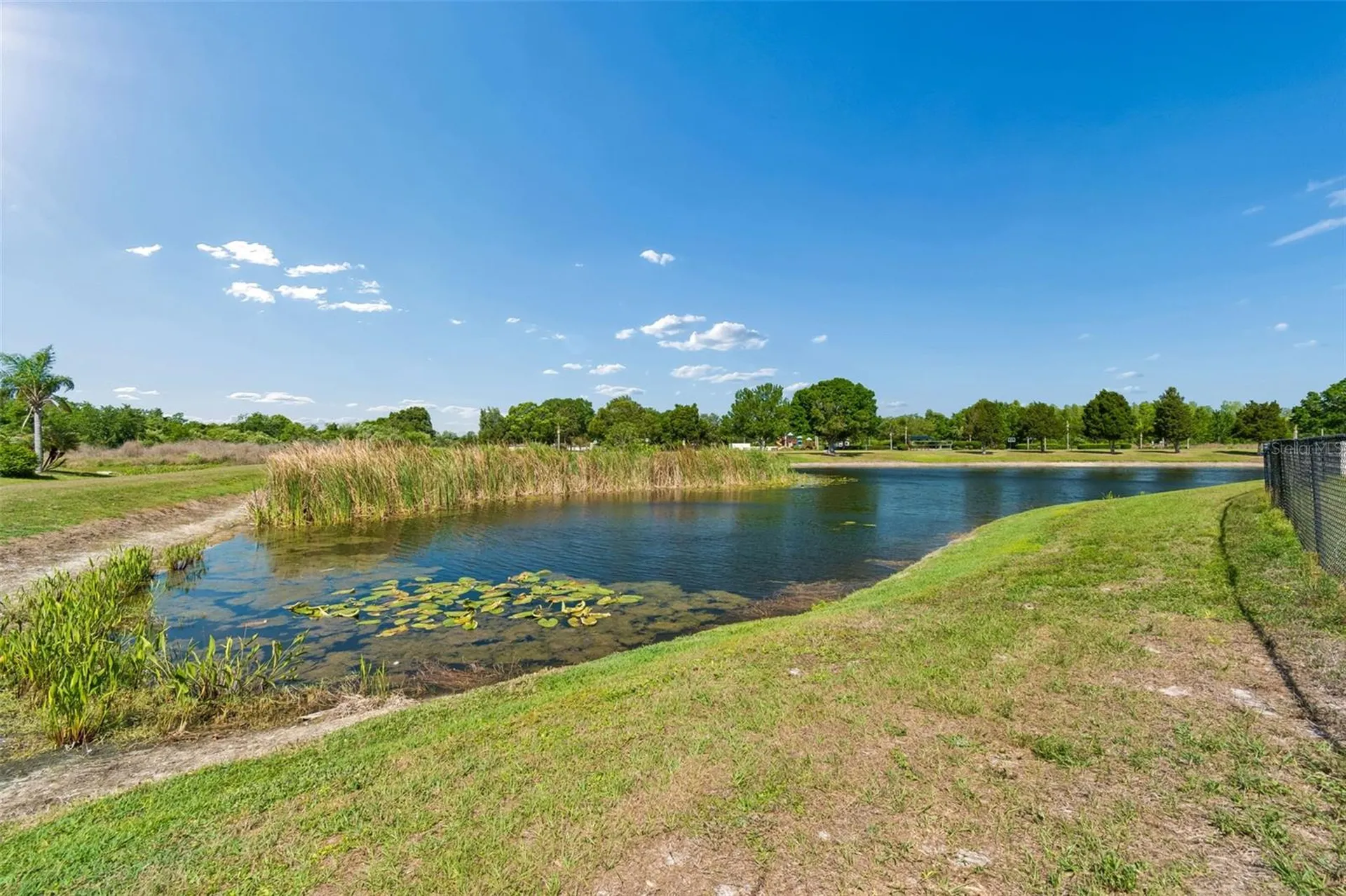 9515 Simeon Drive Land O Lakes FL 34638