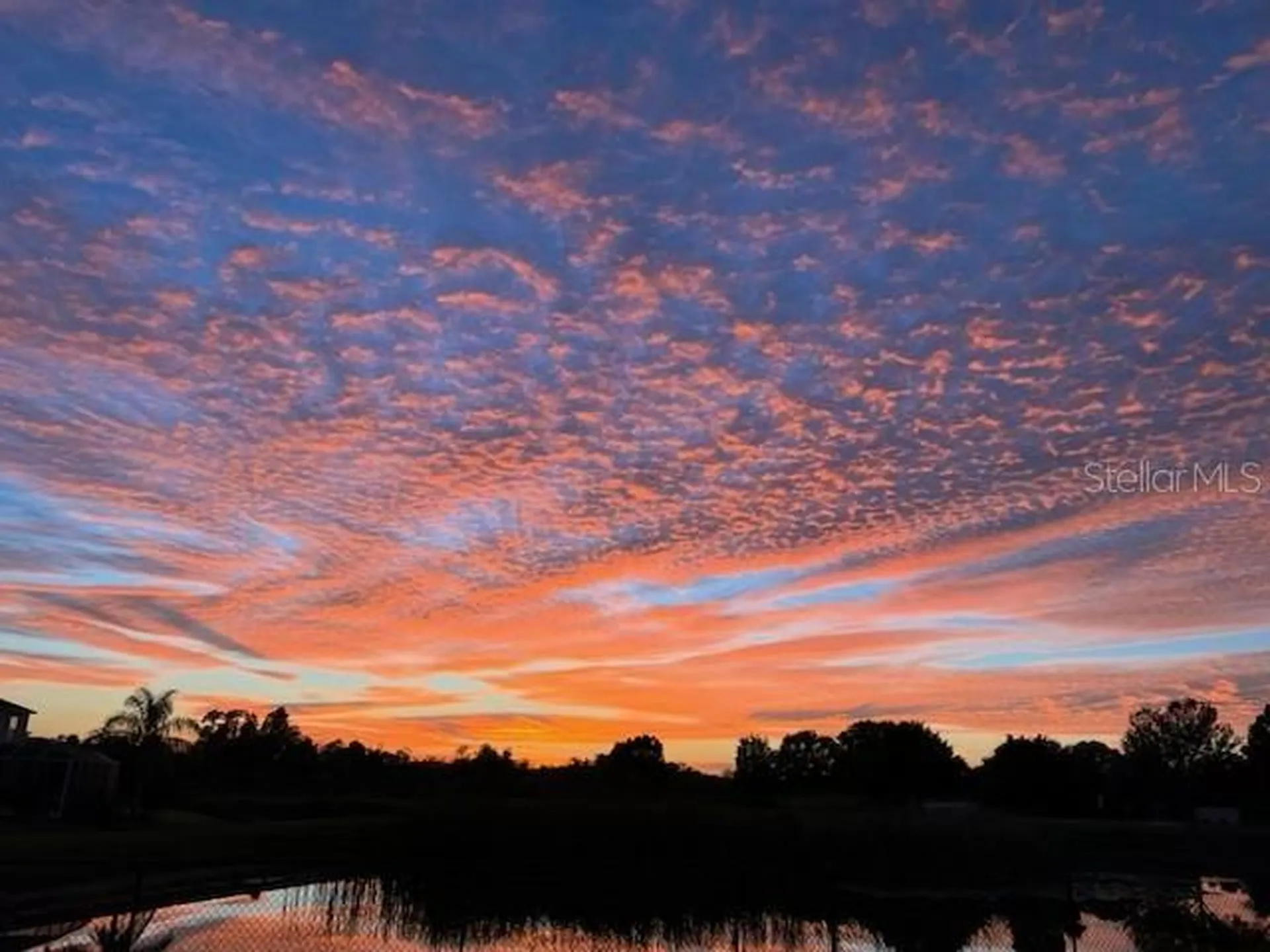 9515 Simeon Drive Land O Lakes FL 34638
