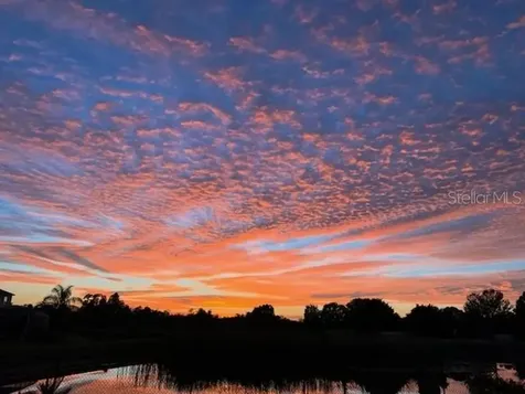 9515 Simeon Drive Land O Lakes FL 34638