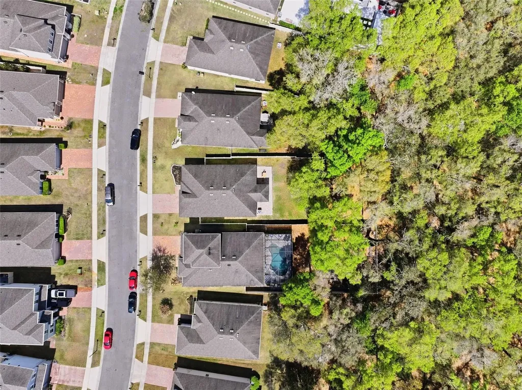 34534 Salerno Circle Sorrento FL 32776