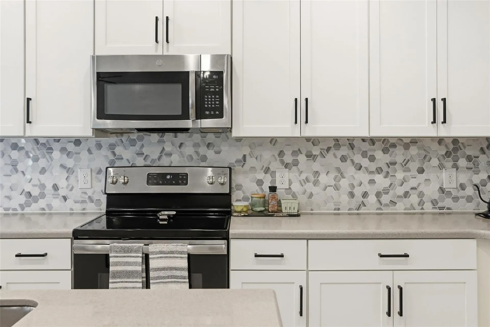 34534 Salerno Circle Sorrento FL 32776