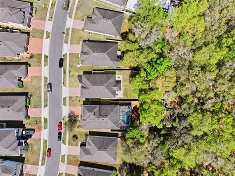 34534 Salerno Circle Sorrento FL 32776