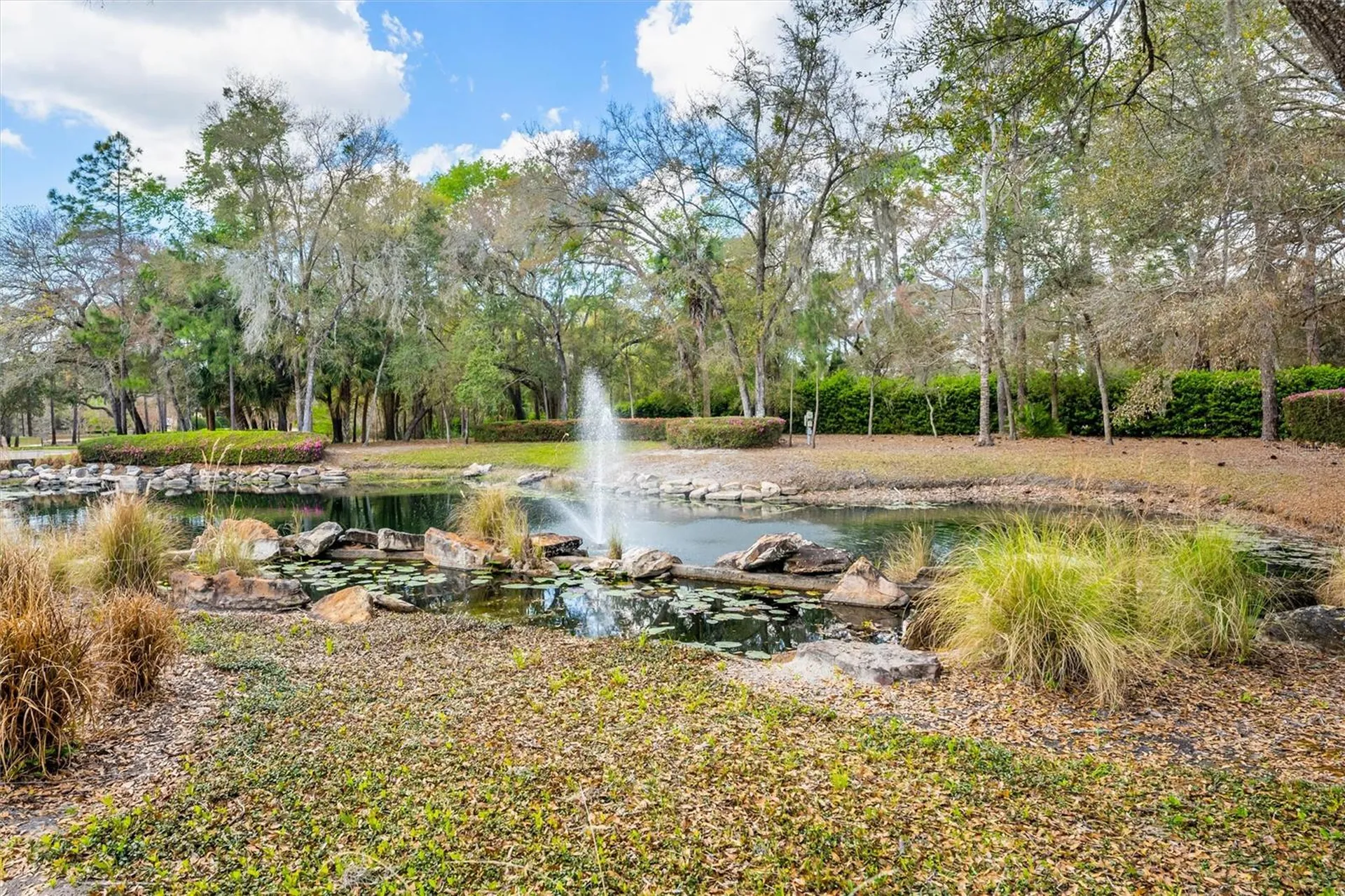 31778 Red Tail Boulevard Sorrento FL 32776