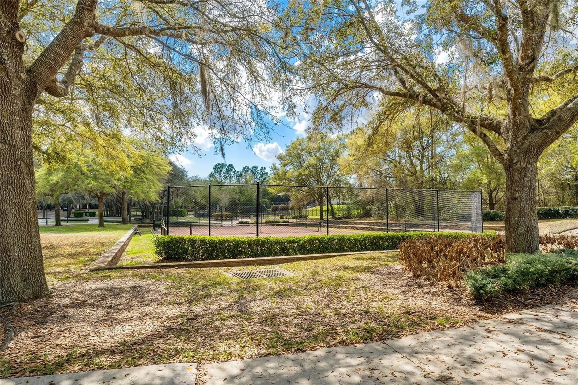 31778 Red Tail Boulevard Sorrento FL 32776