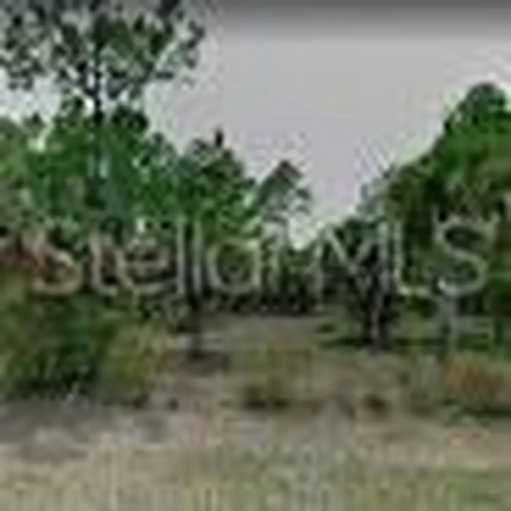 34 Pine Crest Lane Palm Coast FL 32164