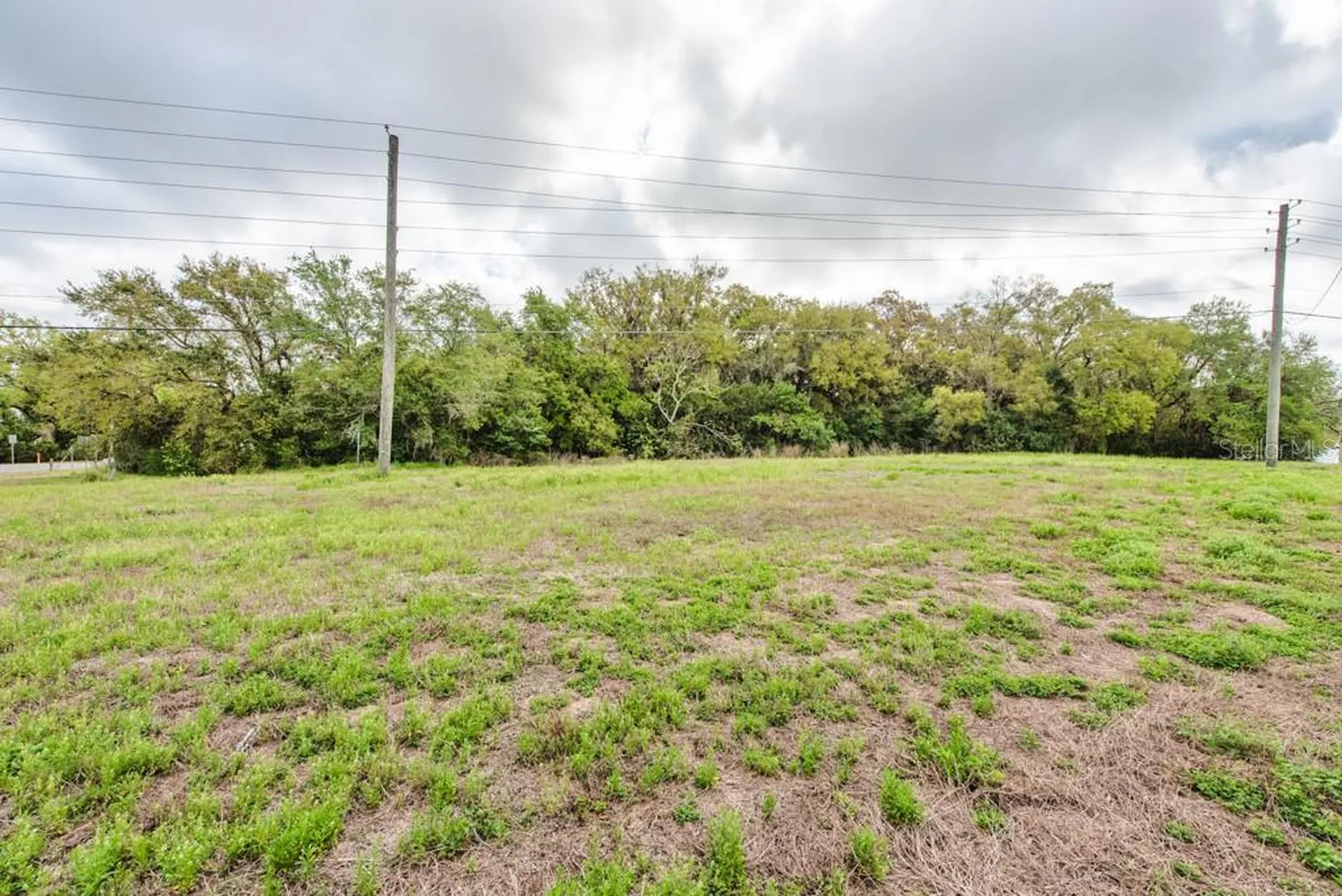Lutz Lake Fern Road Odessa FL 33556