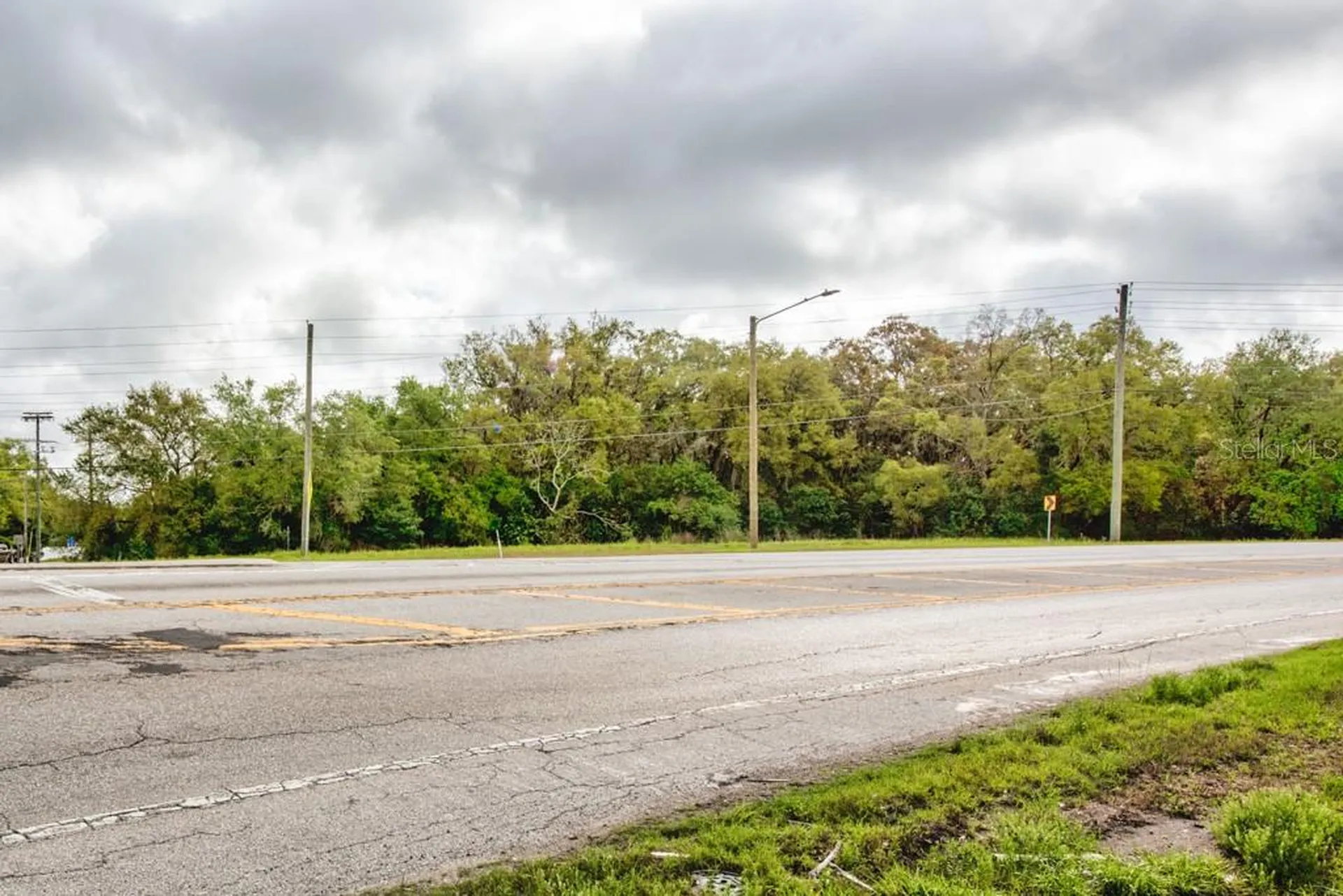 Lutz Lake Fern Road Odessa FL 33556