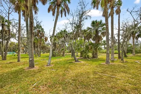 5400 Tropical Woods Court Port Richey FL 34668