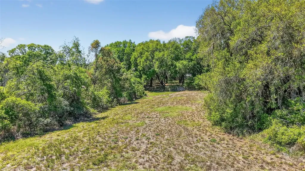 32510 Whitney Road Leesburg FL 34748
