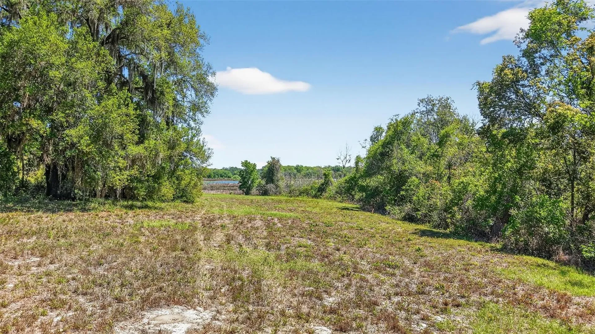 32510 Whitney Road Leesburg FL 34748