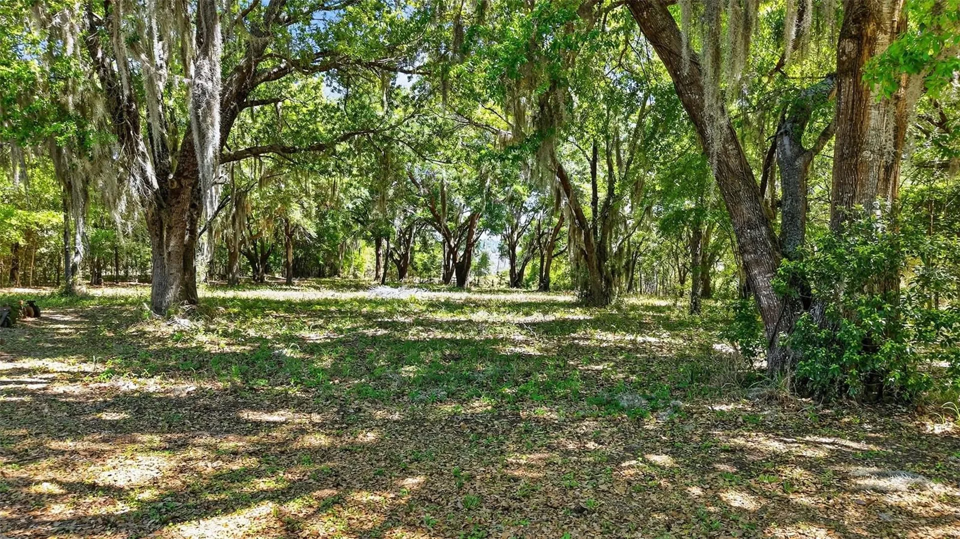 32510 Whitney Road Leesburg FL 34748