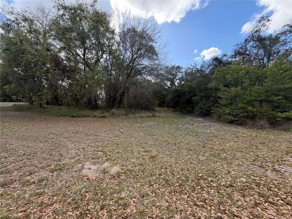 3500 Sebring Parkway Sebring FL 33870