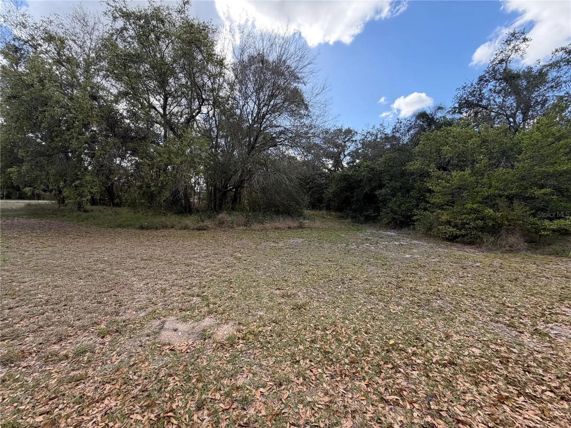 3500 Sebring Parkway Sebring FL 33870