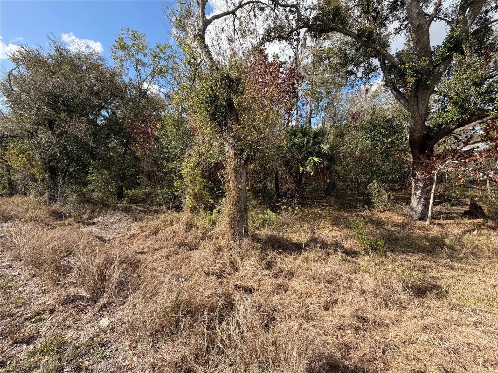 3500 Sebring Parkway Sebring FL 33870