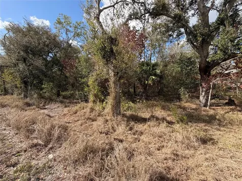 3500 Sebring Parkway Sebring FL 33870