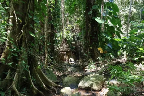 9966 Carretera Rio Grande PR 00745