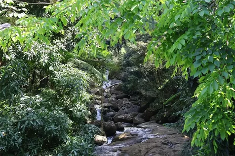 9966 Carretera Rio Grande PR 00745