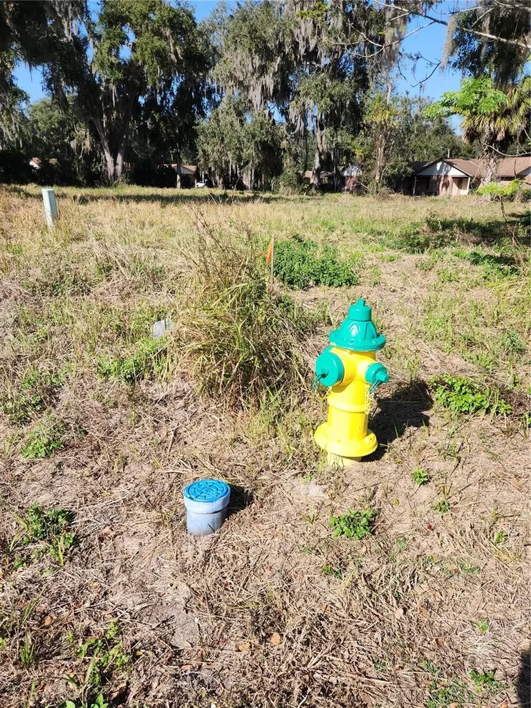 3814 E C 478 Webster FL 33597