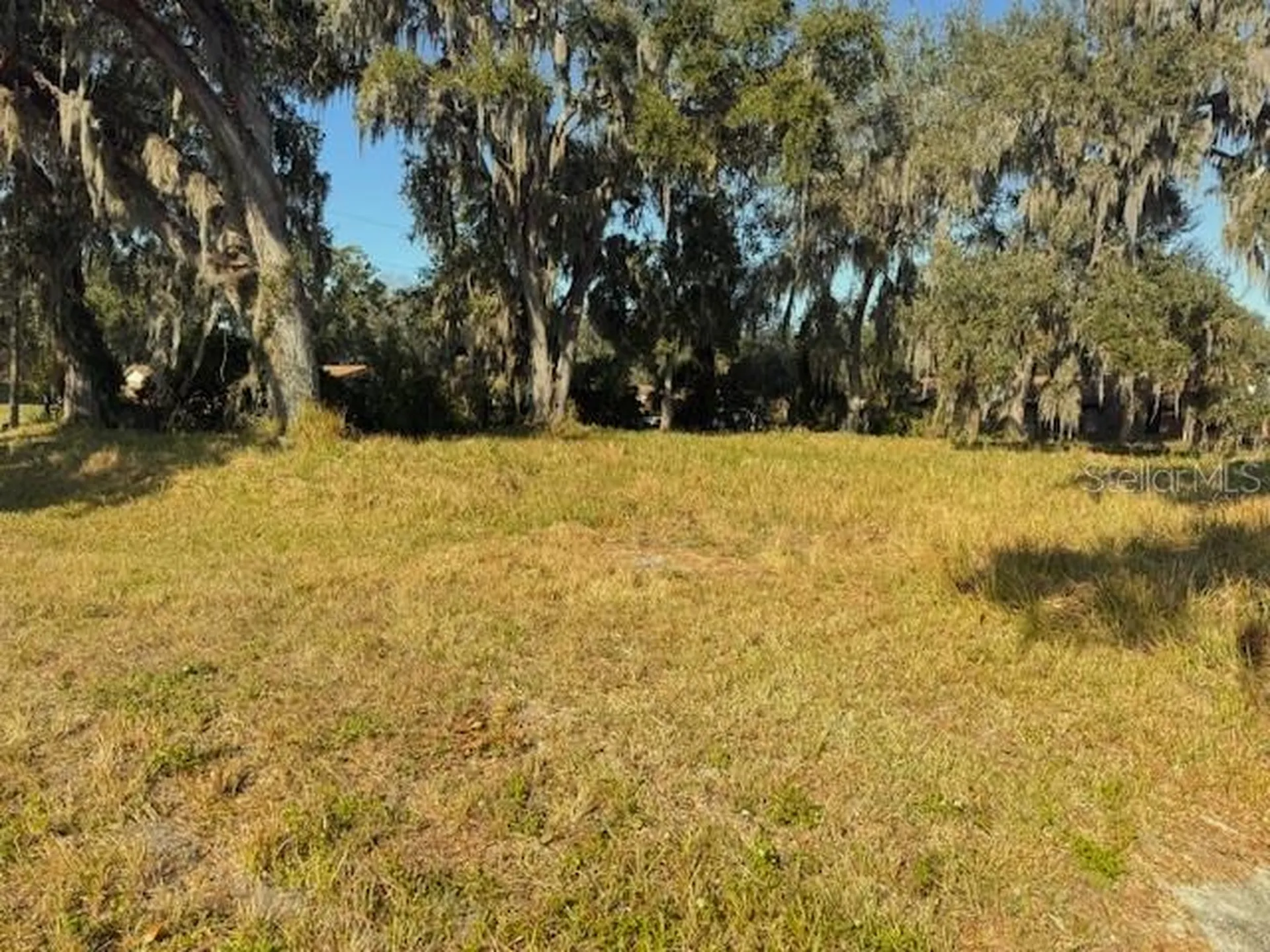 3814 E C 478 Webster FL 33597