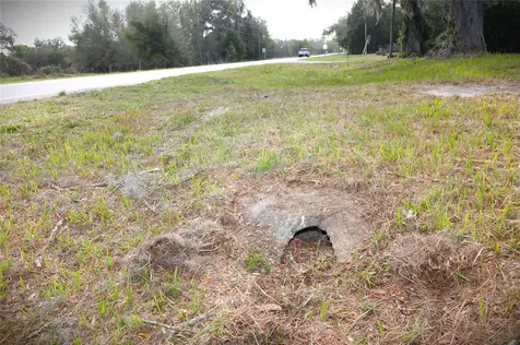 3814 E C 478 Webster FL 33597