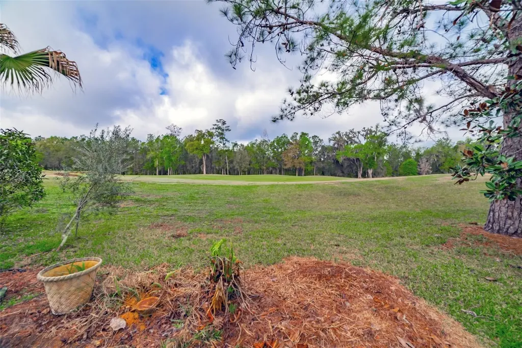4347 Gevalia Drive Brooksville FL 34604
