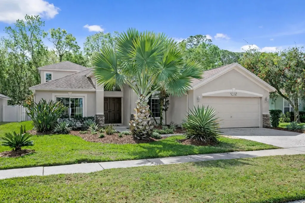 8263 Swann Hollow Drive Tampa FL 33647