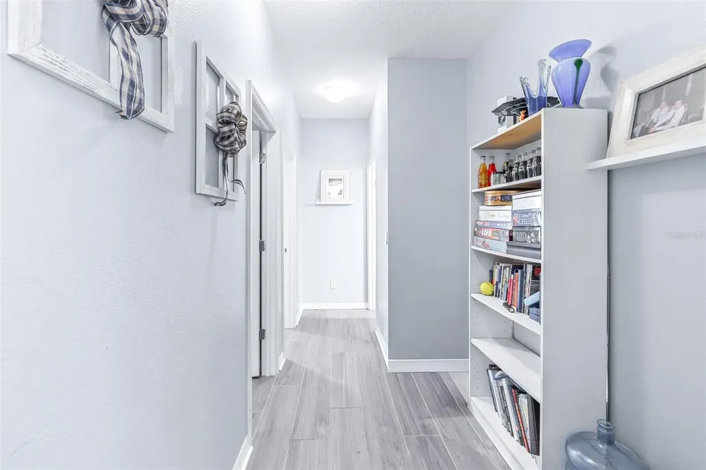 16320 Bridgewalk Drive Lithia FL 33547
