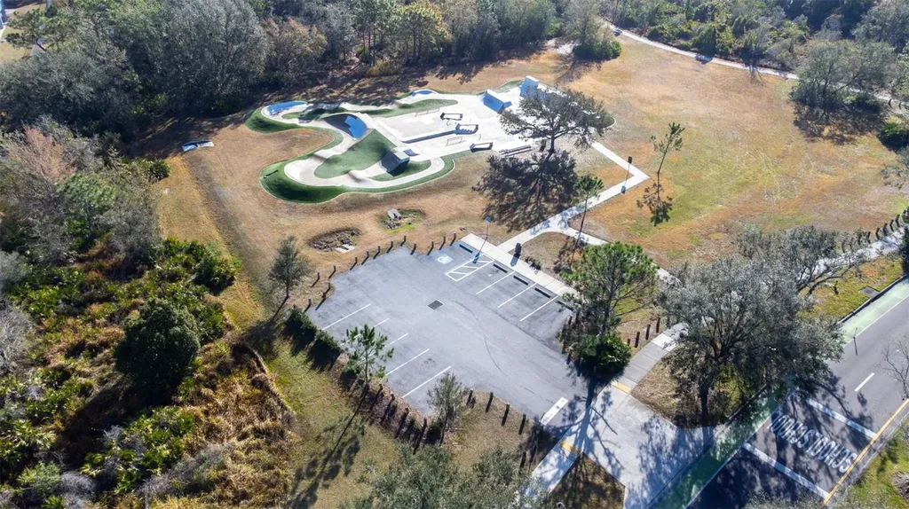 16320 Bridgewalk Drive Lithia FL 33547