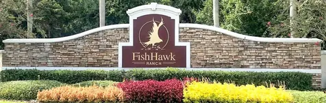 16320 Bridgewalk Drive Lithia FL 33547