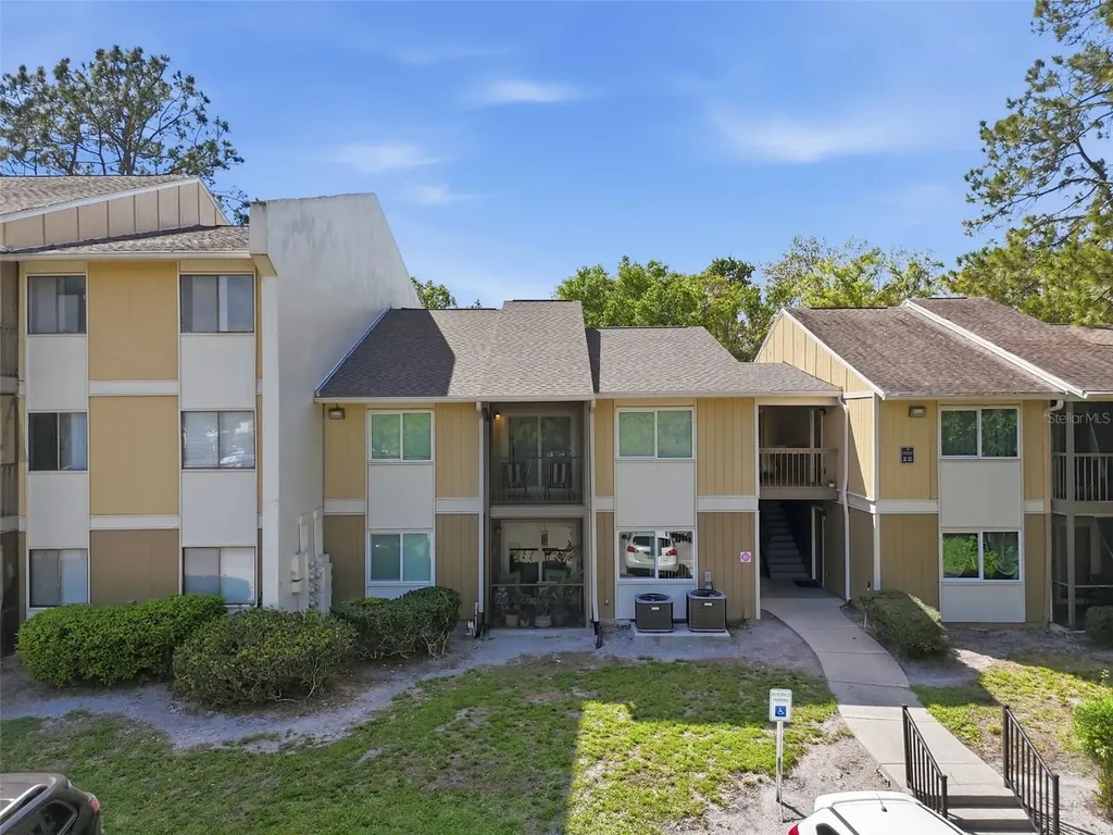 13285 Arbor Pointe Circle Tampa FL 33617