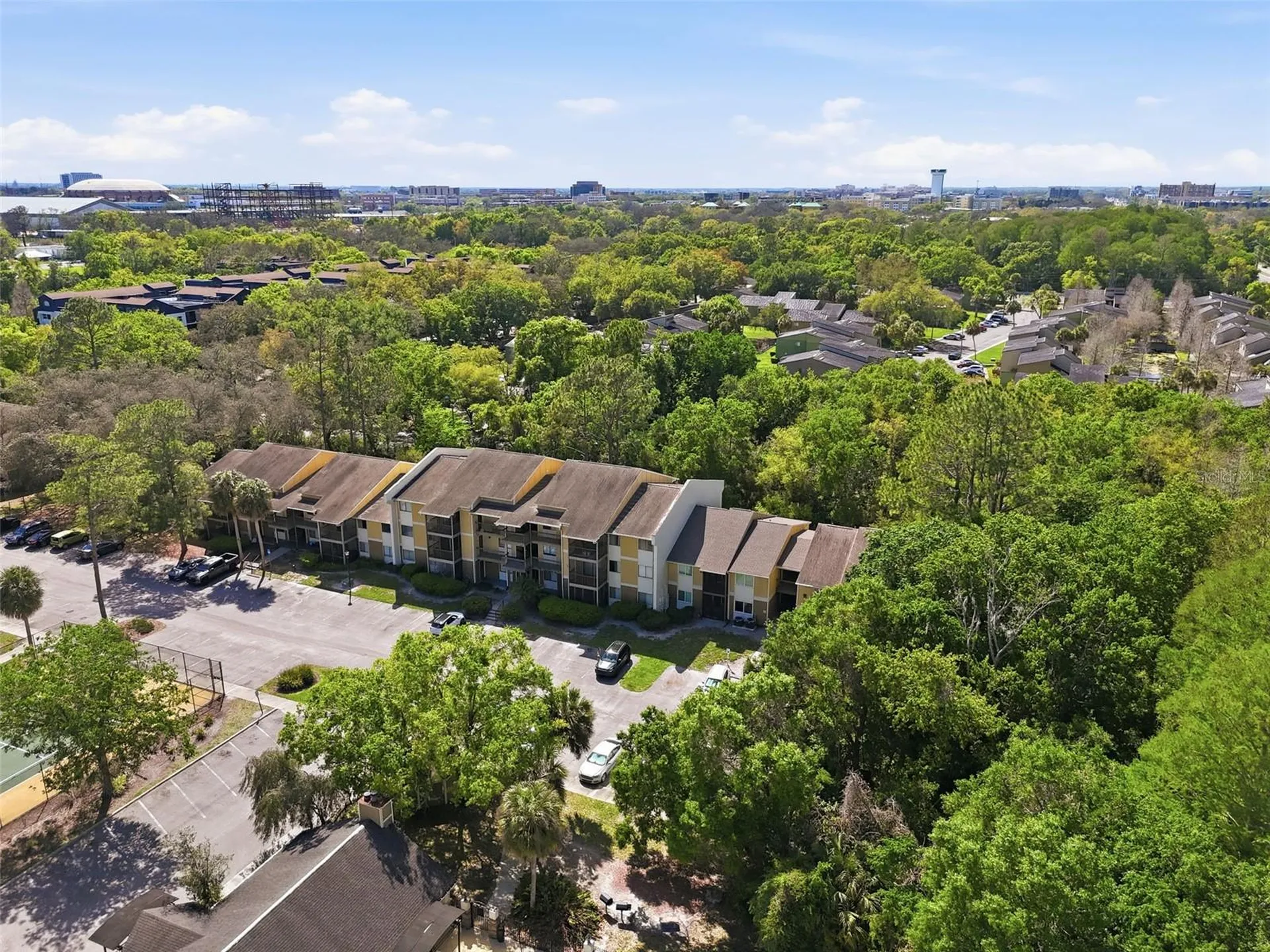 13285 Arbor Pointe Circle Tampa FL 33617
