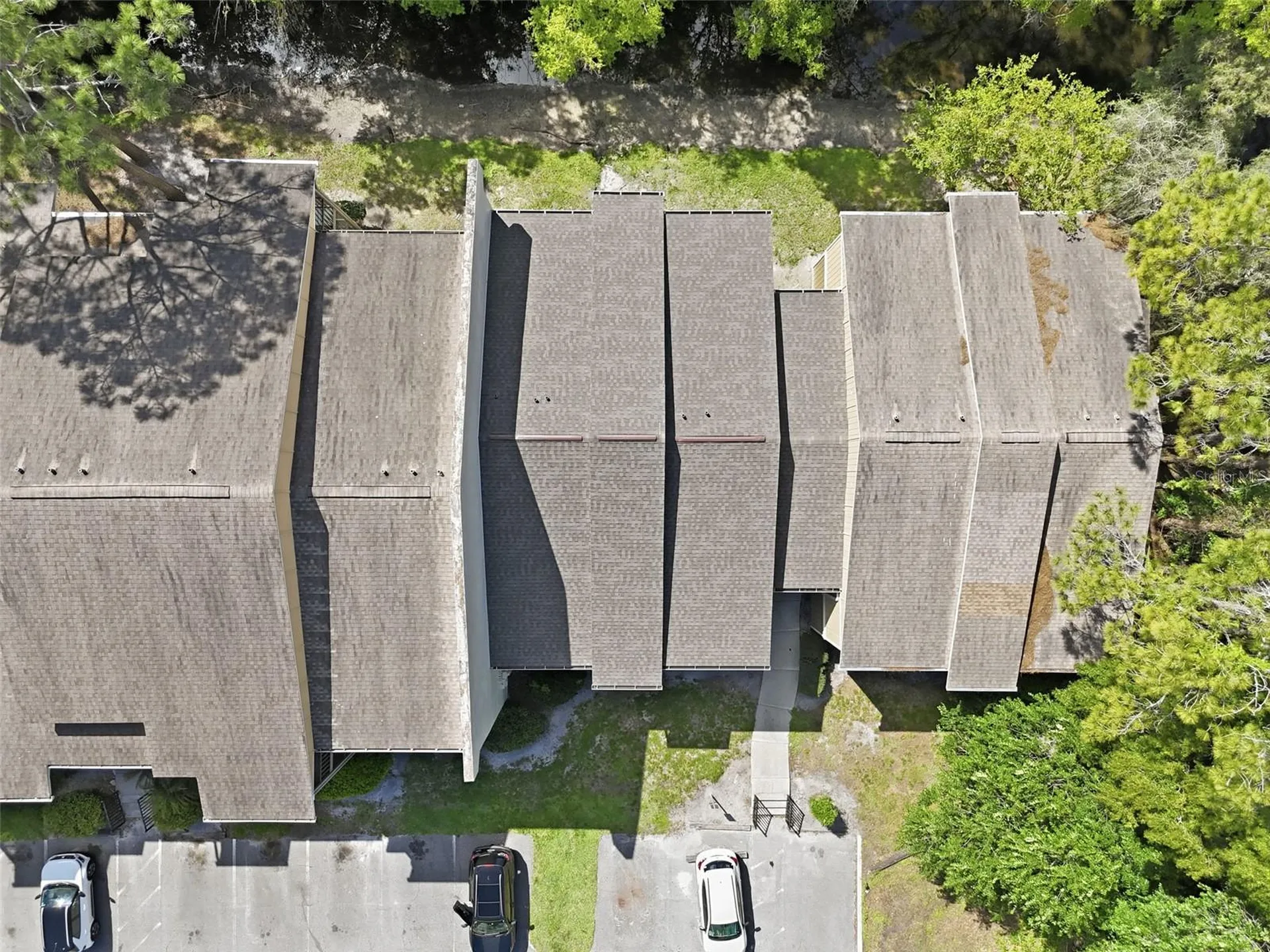 13285 Arbor Pointe Circle Tampa FL 33617